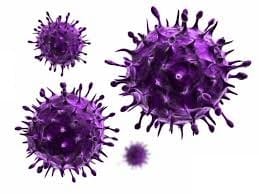 Laptop virus removal